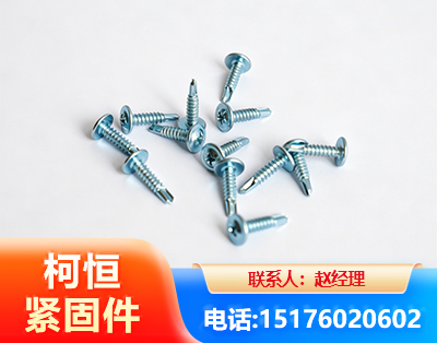喀什华司钻尾丝