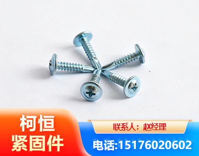喀什华司钻尾丝