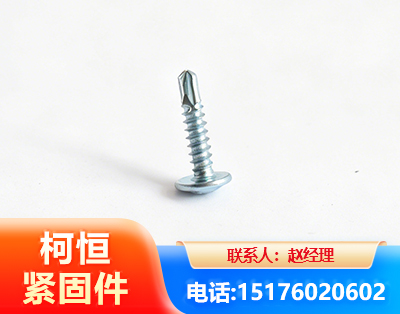 喀什华司钻尾丝